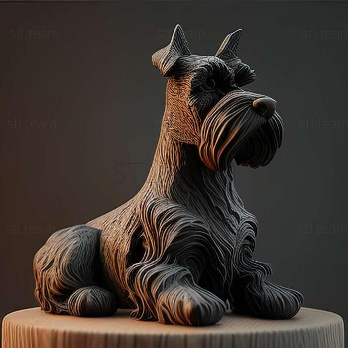 Animals Zwergschnauzer dog